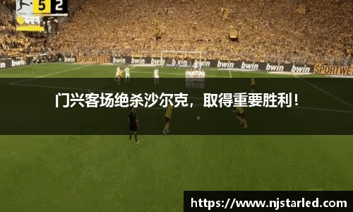 门兴客场绝杀沙尔克，取得重要胜利！